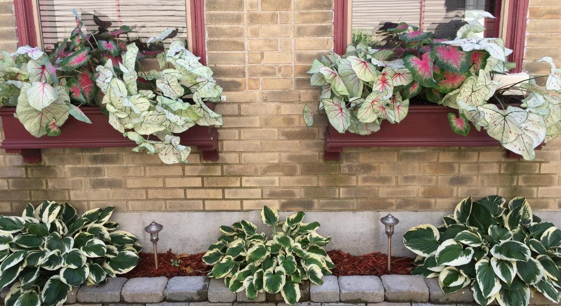 Weller Haus Bed, Breakfast & Event Center Bed & Breakfast Bellevue Bagian luar foto